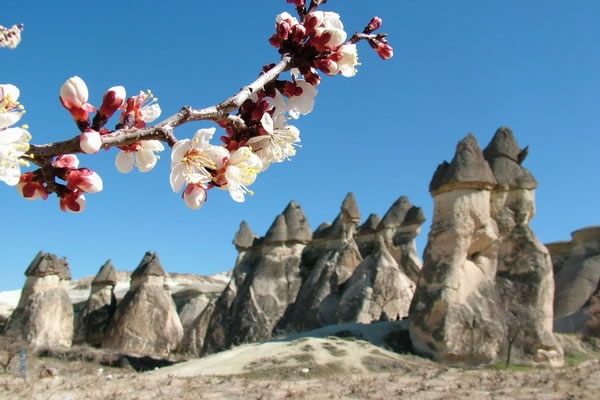 kapadokya